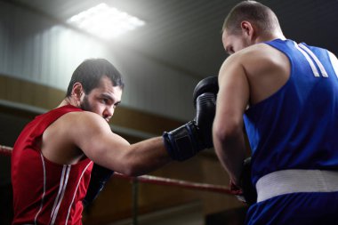 Yetişkin boksör ile spor salonunda antrenör eğitim