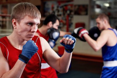 Boksör ile arka plan üzerinde eğitim sporcular spor salonunda portresi 