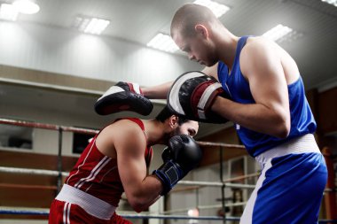 İki erkek boksörler spor salonunda eğitim