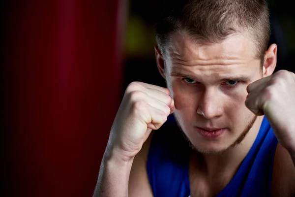 Portrait Fighter Boxing Pose Attentively Looking Camera Gym — Stock Photo, Image