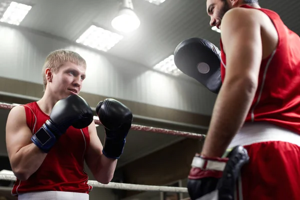 Boxeador Fuerte Con Entrenador Durante Lucha Ring — Foto de Stock