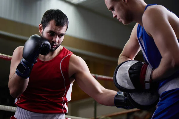 Entrenamiento Boxeador Adulto Con Entrenador Gimnasio — Foto de Stock