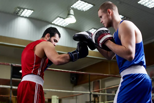 Képzés Edzőteremben Két Férfi Boxer — Stock Fotó