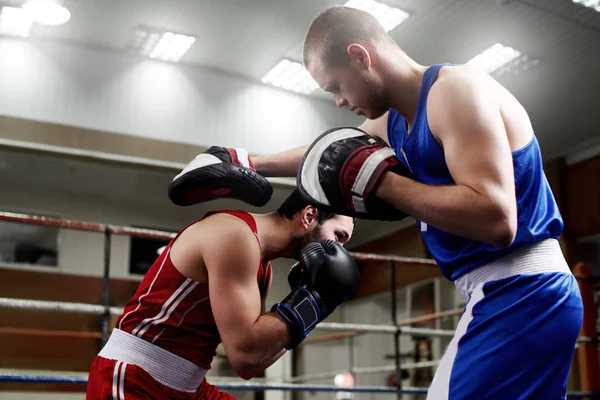 İki erkek boksörler spor salonunda eğitim