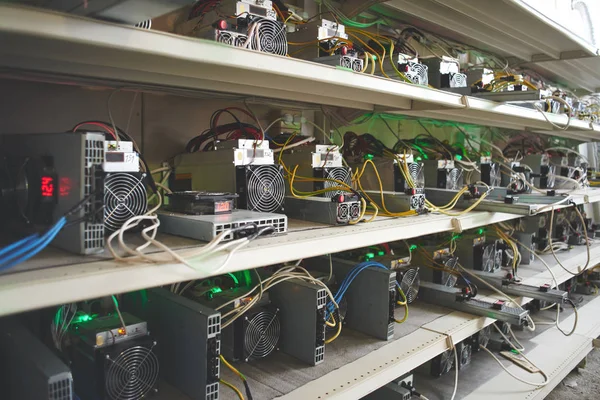 Shelves Professional Equipment Farm Bitcoin Cryptocurrency Mining — Stock Photo, Image