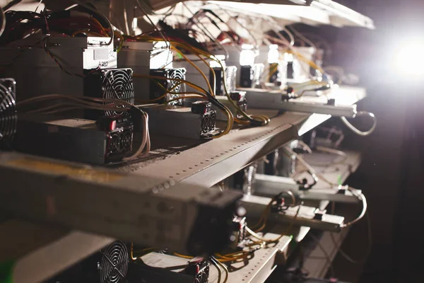 Grubu ile bitcoin cryptocurrency incelemesi için donatım 