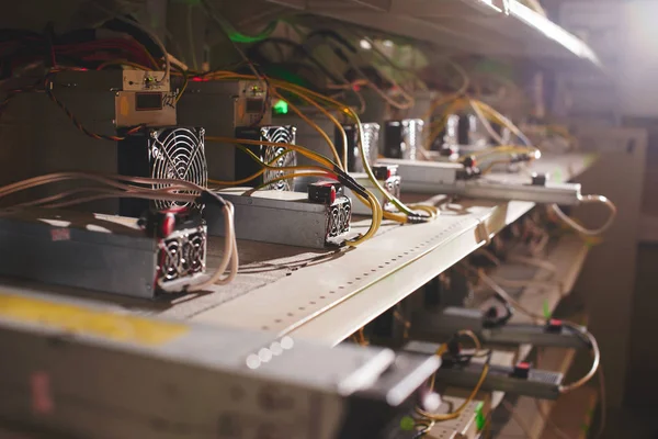 Grubu ile bitcoin cryptocurrency incelemesi için donatım 