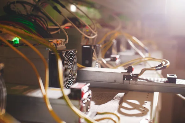 Grubu ile bitcoin cryptocurrency incelemesi için donatım 