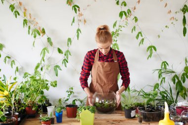 Kızıl saçlı çiçekçi önlük ve kareli gömlek cam aranjman çiçek dükkanında lahanası dikim