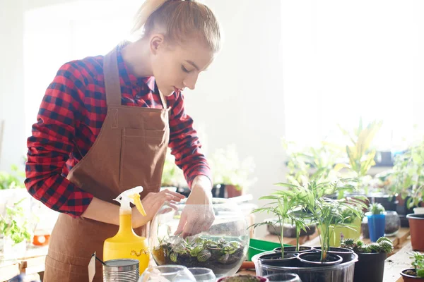 Redhead Florist Förkläde Och Rutig Skjorta Plantering Groddar Glas Kruka — Stockfoto