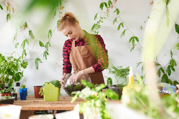 Roodharige Werkneemster Aanplant Spruiten Glas Transparant Bloempot Bloemenwinkel — Stockfoto