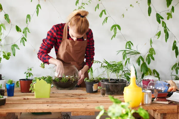 Redheaded Female Worker Planting Sprouts Glass Transparent Flowerpot Flower Shop — Stock Photo, Image