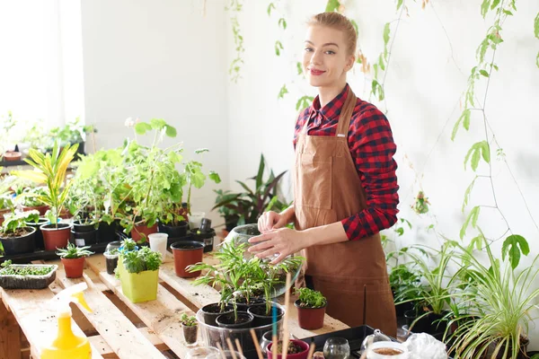 Rothaarige Arbeiterin Pflanzt Sprossen Gläsernen Transparenten Blumentopf Blumenladen — Stockfoto