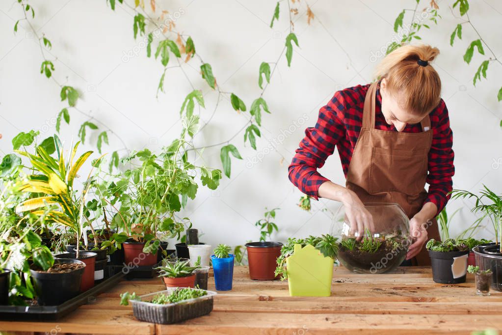 redhead florist in apron and checkered shirt planting sprouts in glass pot in flower shop