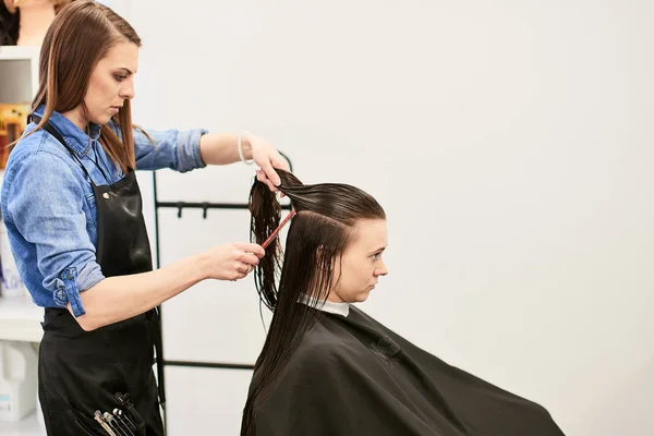 Cliente Recevant Une Coupe Cheveux Salon Beauté Concept Conseils Pour — Photo