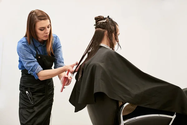 Female Hairdresser Cutting Clients Hair Scissors Beauty Salon Care Concept — Stock Photo, Image