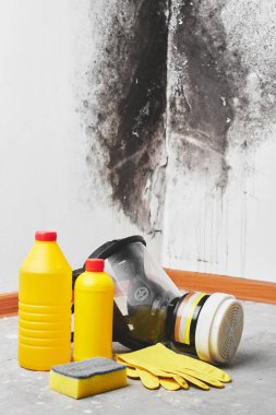 Kalıp. Aspergillus. Deterjanlar, ev eldiven, bir sünger, beyaz duvar arka plan siyah bir mantar ile bir kova