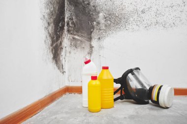 Kalıp. Aspergillus. Deterjanlar, ev eldiven, bir sünger, beyaz duvar arka plan siyah bir mantar ile bir kova