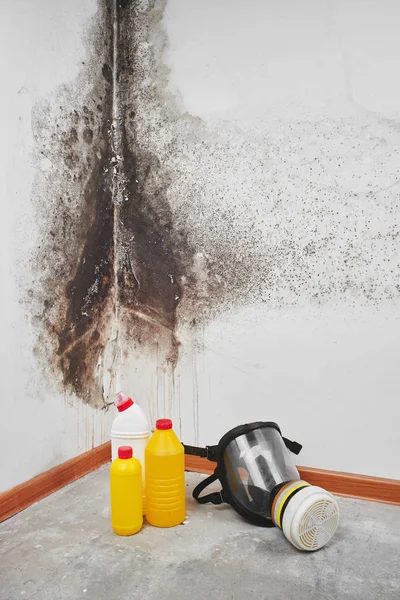 家庭用手袋 スポンジ 黒菌と白い壁の背景にバケツ — ストック写真
