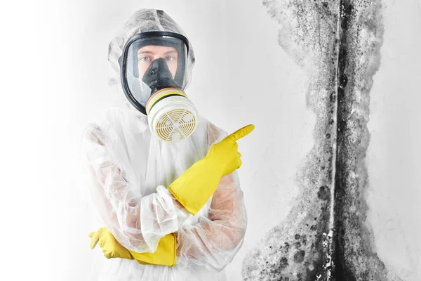 Професійні Disinfector Спецодяг Маски Вказує Пальцем Чорні Mold Стіні Видалення — стокове фото