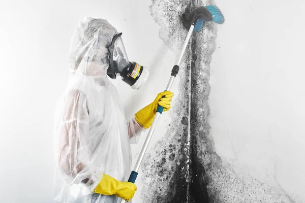 Professional Disinfector Overalls Processes Walls Mold Brush Removal Black Fungus — Stock Photo, Image