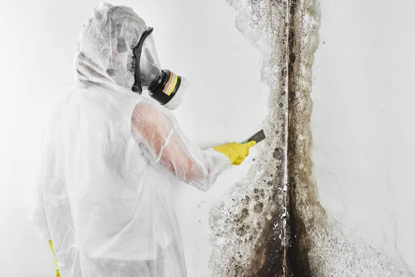 Disinfettante Professionale Tuta Lavoro Elabora Pareti Stampo Con Una Spatola — Foto Stock