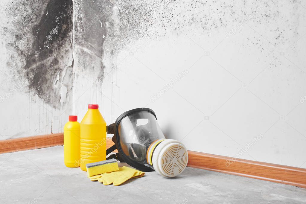 Mold. Aspergillus. Detergents, household gloves, a sponge, a bucket on a white wall background with a black fungus