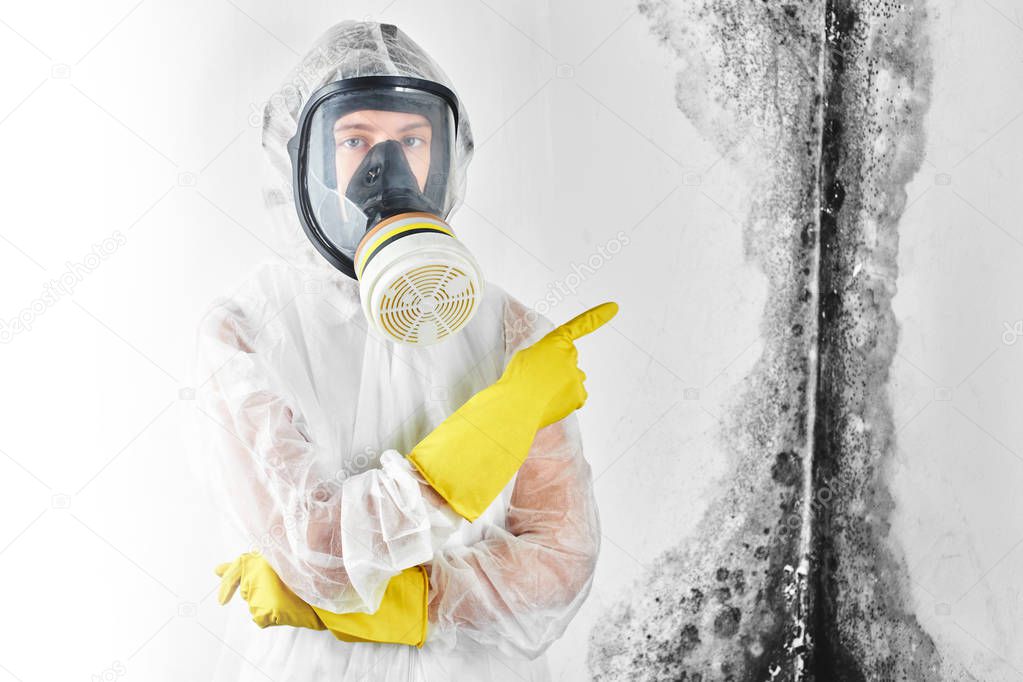A professional disinfector in overalls and a mask points a finger at the black mold on the wall. Removal of the fungus in the apartment and house. Aspergillus