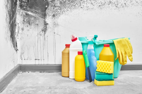 Mold Aspergillus Detergents Household Gloves Sponge Bucket White Wall Background — Stock Photo, Image