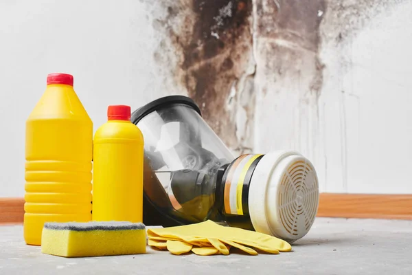 Molde Aspergillus Detergentes Guantes Para Hogar Una Esponja Cubo Sobre —  Fotos de Stock