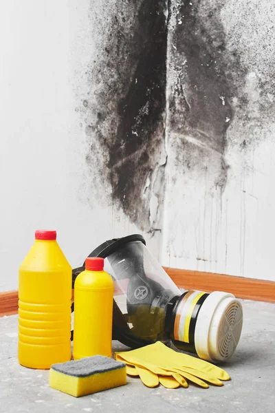 Mold Aspergillus Detergenten Huishoudelijke Handschoenen Een Spons Een Emmer Een — Stockfoto