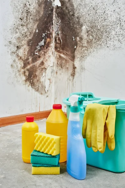 Mold Aspergillus Detergenten Huishoudelijke Handschoenen Een Spons Een Emmer Een — Stockfoto