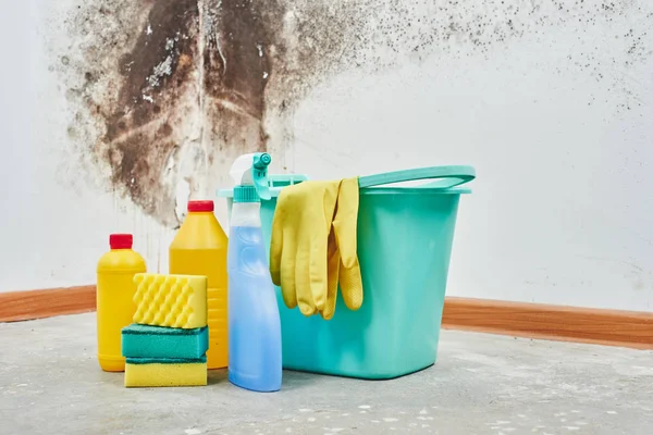 Stampo Aspergillus Detergenti Guanti Casa Una Spugna Secchio Sfondo Bianco — Foto Stock