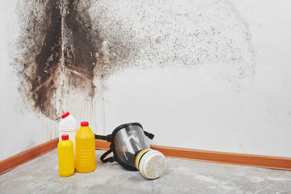 Mold. Aspergillus. Detergents, household gloves, a sponge, a bucket on a white wall background with a black fungus