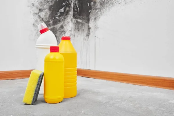 Mold Aspergillus Detergenten Huishoudelijke Handschoenen Een Spons Een Emmer Een — Stockfoto