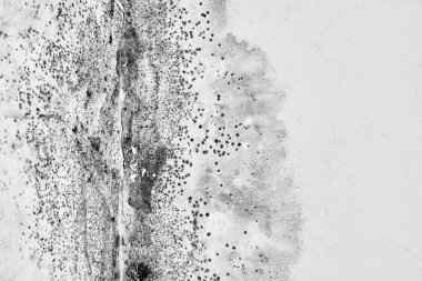 Kalıp. Aspergillus. Tavanda bir köşede beyaz bir duvar üzerinde siyah mantar