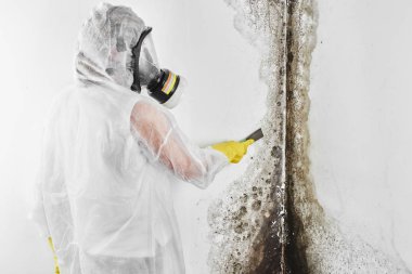 Profesyonel bir dezenfeksiyon Tulum içinde kalıp duvarlarından bir spatula ile işler. Apartman ve ev içinde siyah mantar kaldırılması. Aspergillus.