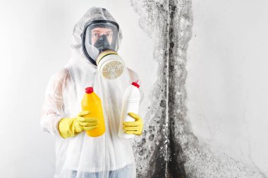 A professional disinfector in overalls and a respirator is holding cleaners in the hands against the background of a white wall, affected by black mold. Removal of the fungus in the apartment and house. Aspergillus. clipart
