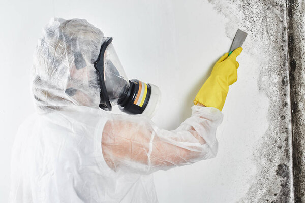 Профессиональный дезинфектор в комбинезоне обрабатывает стены от плесени лопаткой. Удаление черного гриба в квартире и доме. Аспергилл
.
