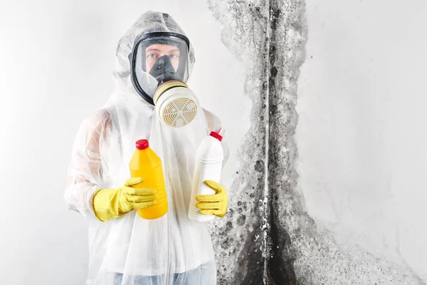 A professional disinfector in overalls and a respirator is holding cleaners in the hands against the background of a white wall, affected by black mold. Removal of the fungus in the apartment and house. Aspergillus.