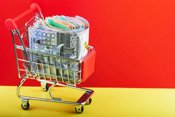 Kasachische Tenge Spielzeug Einkaufswagen Auf Rotem Und Gelbem Hintergrund Nahaufnahme — Stockfoto