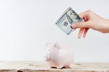 El dolar bir kumbara beyaz bir arka plan üzerine koyar
