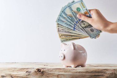 El dolar bir kumbara beyaz bir arka plan üzerine koyar