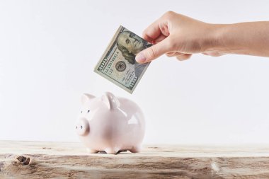 El dolar bir kumbara beyaz bir arka plan üzerine koyar