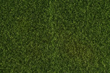 Yeşil suni çim arka plan. Çim doku Üstten Görünüm