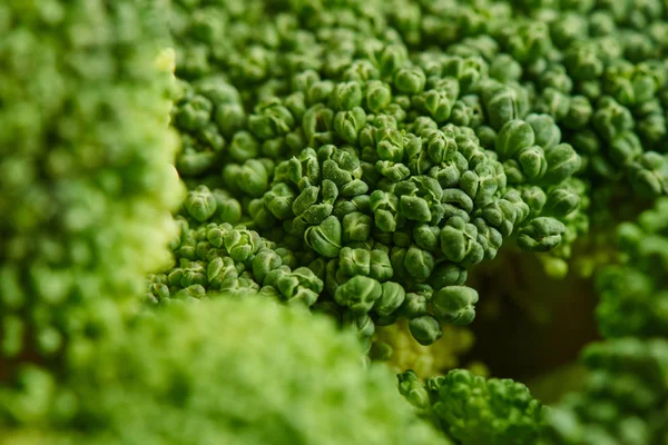 Brócolis Crus Frescos Close Conceito Comida Saudável Dieta Sulforafano Legumes — Fotografia de Stock