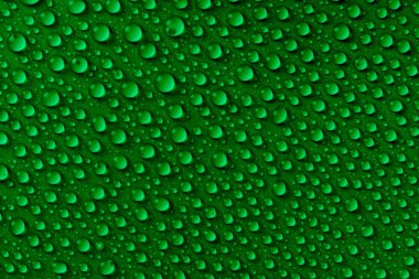 Yeşil kağıt arka plan üzerinde su damlası deseni yakın çekim. Yağmurdan sonra tazelik, doğa, çiy kavramı