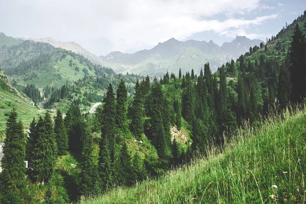 Paysage Montagneux Vert Été Kazakhstan Almaty Nature Forêt Ciel — Photo
