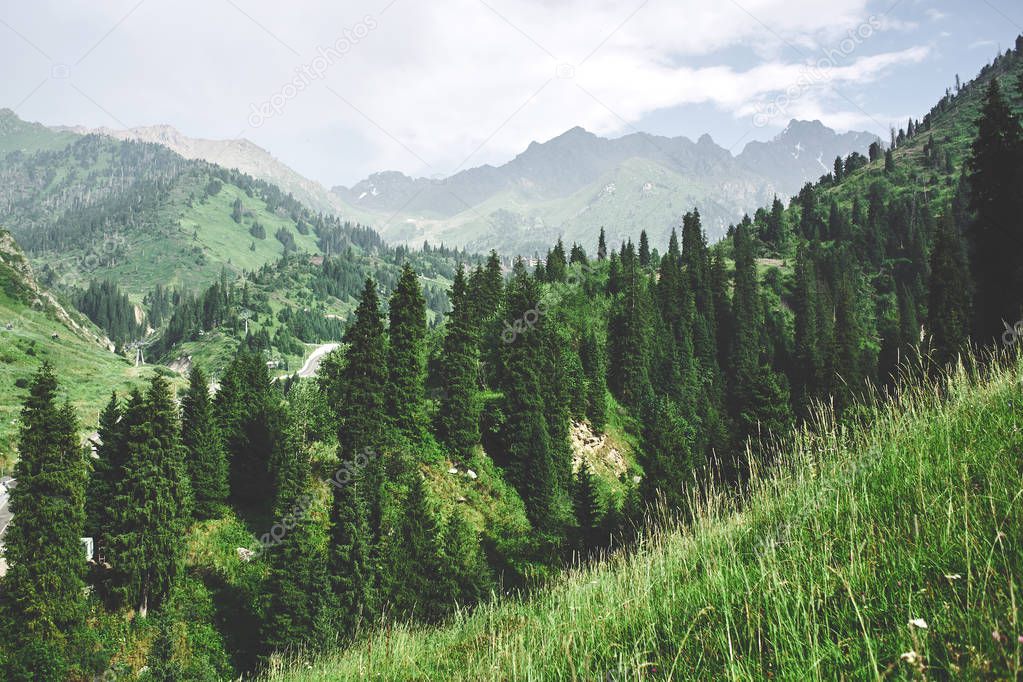 Summer green mountain landscape in Kazakhstan Almaty, nature, forest and sky