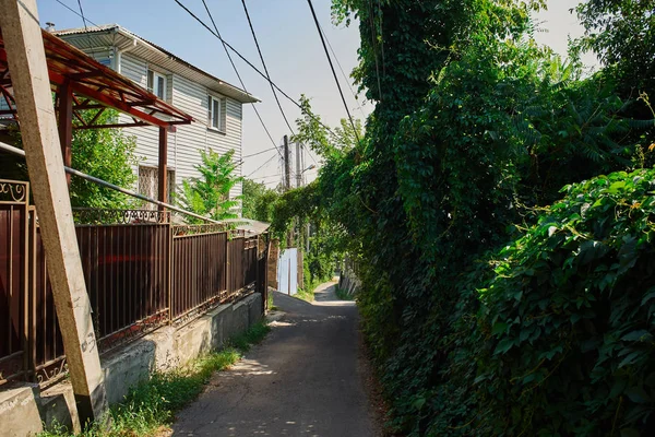 Enge Straße Der Stadt Almaty Mit Wohnhäusern Und Bäumen Landschaft — Stockfoto